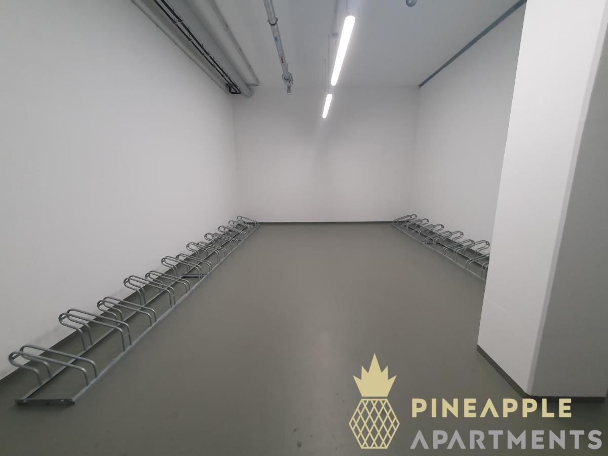 Pineapple Apartments Dresden Altstadt I - 117 Qm - 1X Free Parking المظهر الخارجي الصورة